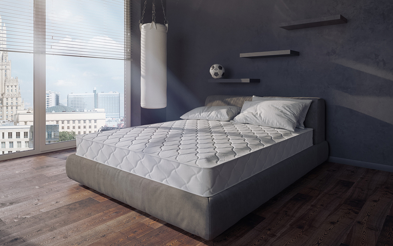 Evita Regular Synergy фото 3